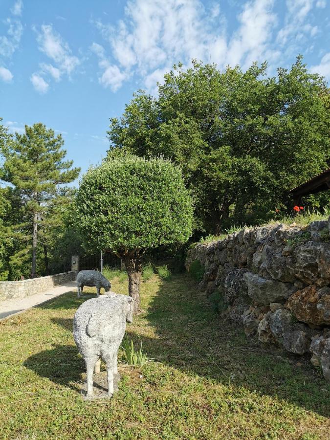Domaine Geodora, Parfumeur En Provence Villa Montauroux Exterior photo