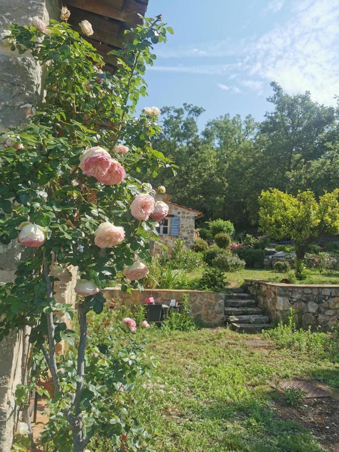 Domaine Geodora, Parfumeur En Provence Villa Montauroux Exterior photo